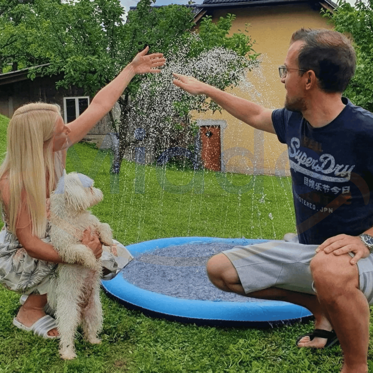 PetSplash™ | De leukste verkoeling voor jouw viervoeter!