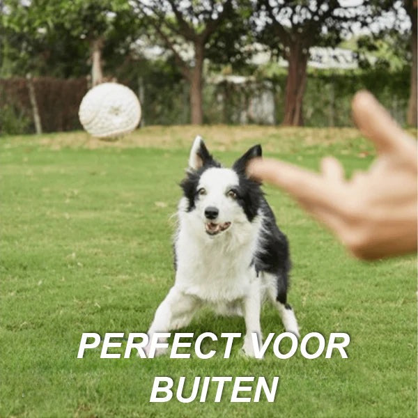 DogChew™ | het speeltje dat iedere hond moet hebben!