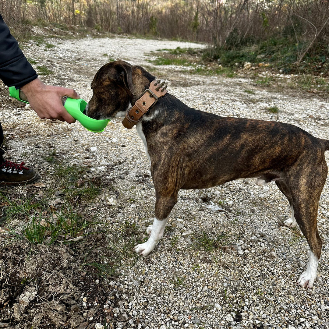 4-in-1 honden drinkfles™ - Alles bij de hand voor je lieve viervoeter!