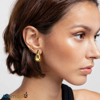 Retro Chic™ Elegante Oorbellen | 1+1 GRATIS