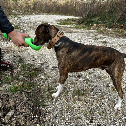 4-in-1 honden drinkfles™ - Alles bij de hand voor je lieve viervoeter!